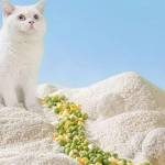 High-Absorption Eco-Friendly Corn & Tapioca Cat Litter 2.4kg – Fast-Clumping, Natural Odor Control