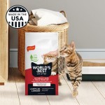 【WORLD'S BEST】 CAT LITTER Multiple Cat Unscented, 15-Pounds - Natural Ingredients, Quick Clumping, Flushable, 99% Dust Free & Made in USA - Long-Lasting Odor Control & Easy Scooping  