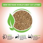 【WORLD'S BEST】 CAT LITTER Multiple Cat Unscented, 15-Pounds - Natural Ingredients, Quick Clumping, Flushable, 99% Dust Free & Made in USA - Long-Lasting Odor Control & Easy Scooping  